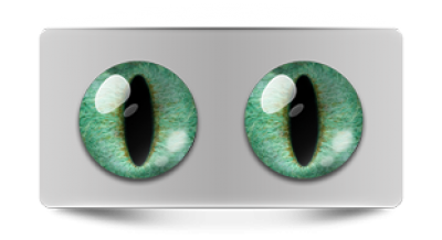 Звериные_02459