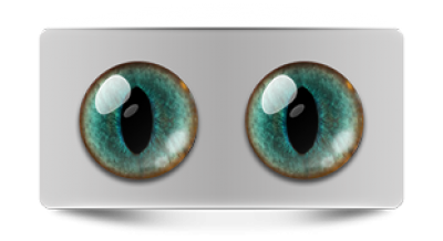 Звериные_02462