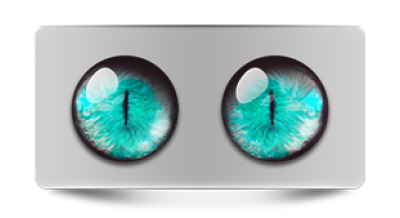 Звериные_02465