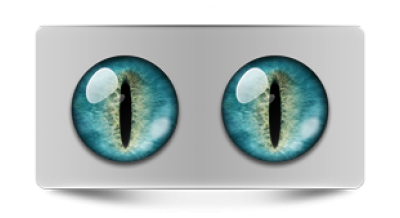 Звериные_02467