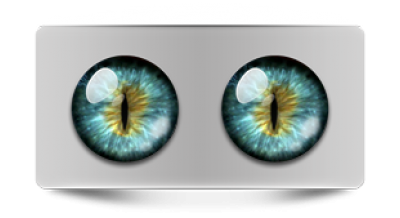 Звериные_02468