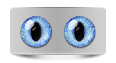 Звериные_02472