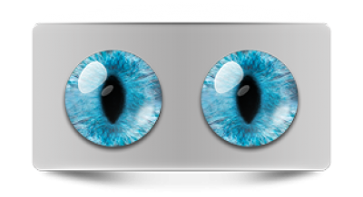 Звериные_02482