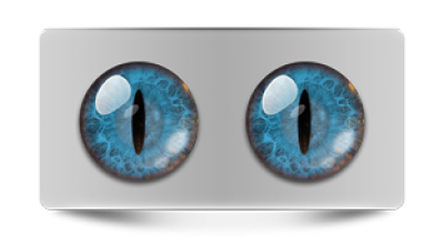 Звериные_02484