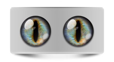 Звериные_02487