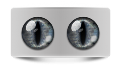 Звериные_02488