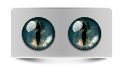 Звериные_02492