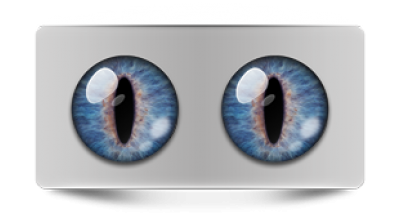 Звериные_02493