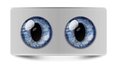 Звериные_02495