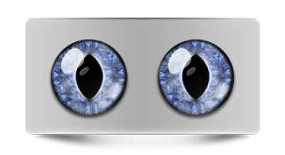 Звериные_02496