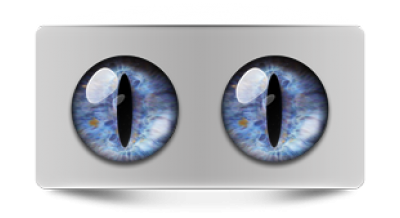 Звериные_02497