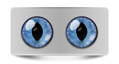 Звериные_02498