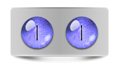 Звериные_02513