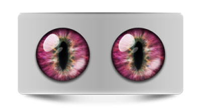 Звериные_02519