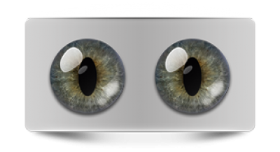 Звериные_02521