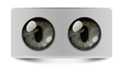 Звериные_02522