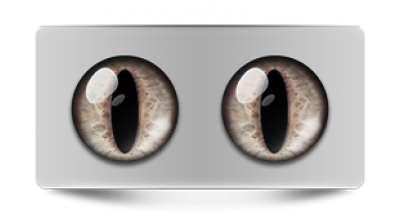 Звериные_02523