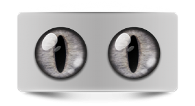 Звериные_02525