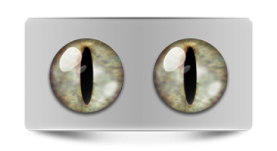 Звериные_02526