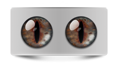 Звериные_02529