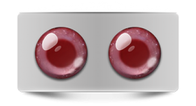 Звериные_02530