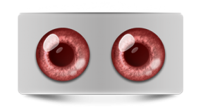 Звериные_02531