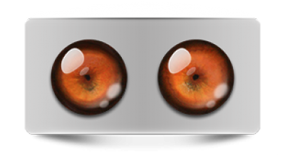 Звериные_02534