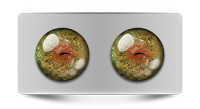 Звериные_02538