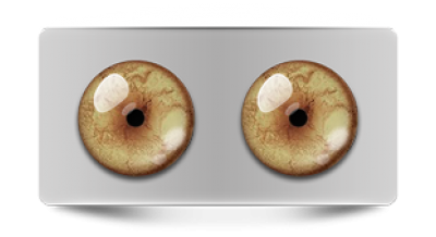 Звериные_02539