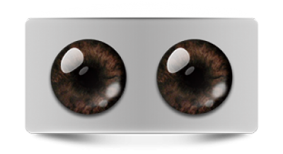 Звериные_02551