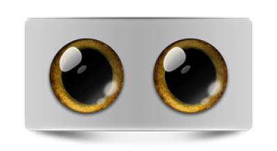 Звериные_02567