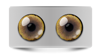 Звериные_02580