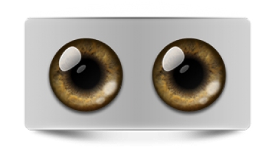 Звериные_02581