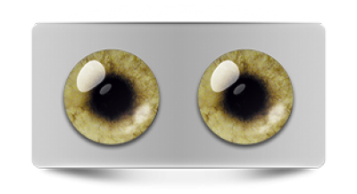 Звериные_02582