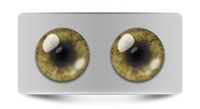 Звериные_02583