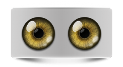 Звериные_02584