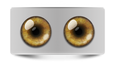 Звериные_02585