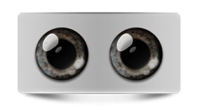 Звериные_02597