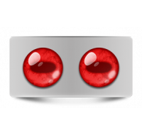 Звериные_02598