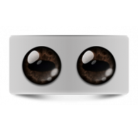 Звериные_02601