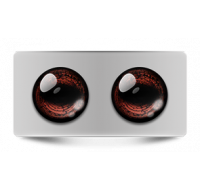 Звериные_02602