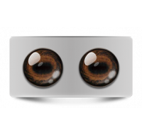 Звериные_02604