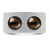 Звериные_02605