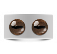 Звериные_02607