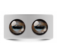 Звериные_02608