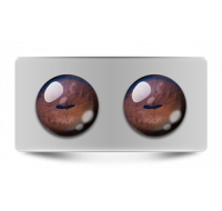 Звериные_02611