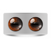 Звериные_02612