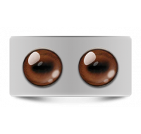 Звериные_02614