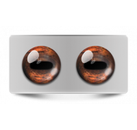 Звериные_02615