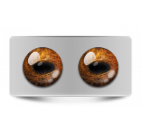 Звериные_02616